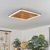 Guacacallo Deckenpanel LED Gold, Schwarz, Weiß, 1-flammig