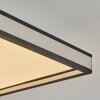 Nabbas Deckenpanel LED Schwarz, Weiß, 1-flammig, Fernbedienung