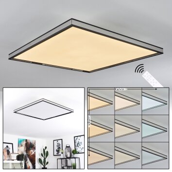 Nabbas Deckenpanel LED Schwarz, Weiß, 1-flammig