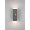 Trio Leuchten Avon Außenwandleuchte LED Anthrazit, 2-flammig, Bewegungsmelder