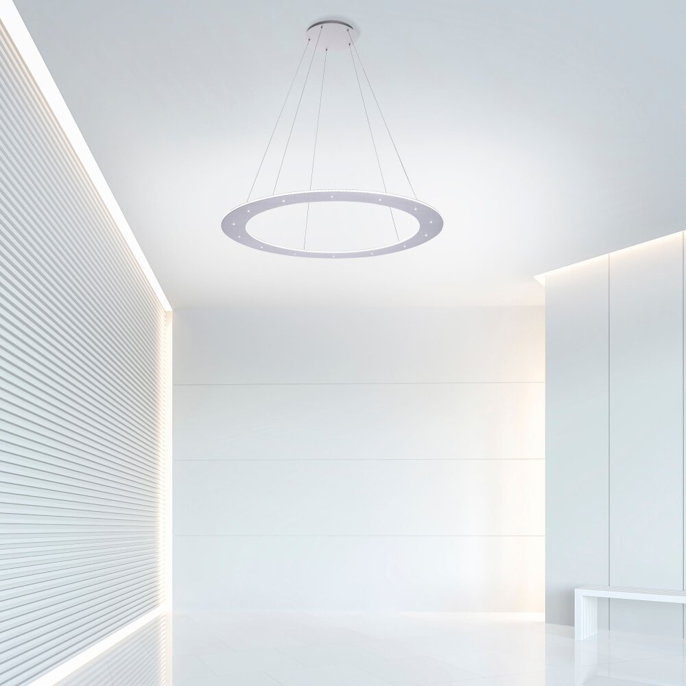 Paul Neuhaus PURE-COSMO Pendelleuchte LED Aluminium, 25-flammig, Fernbedienung main product photo