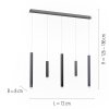 Paul Neuhaus PURE-GEMIN Pendelleuchte LED Aluminium, Schwarz, 5-flammig