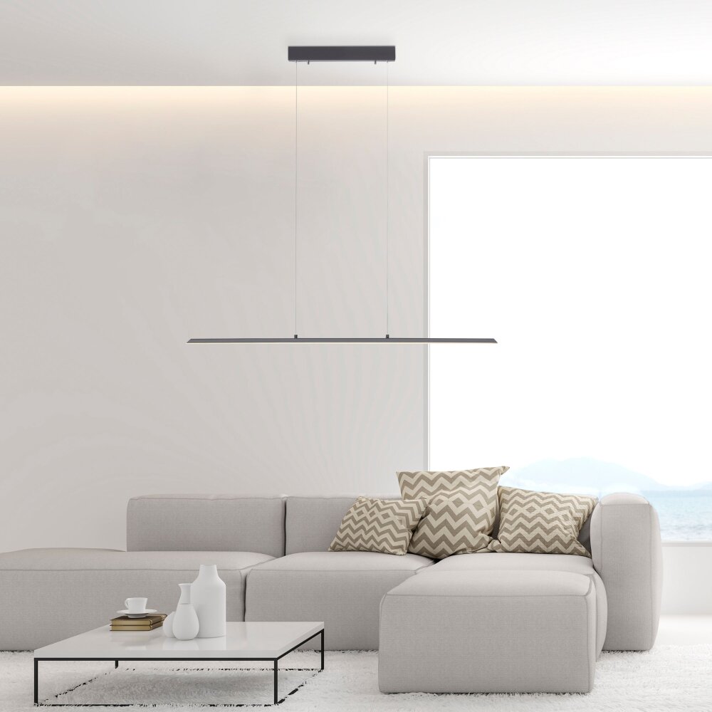 Paul Neuhaus PURE-LITE Pendelleuchte LED Anthrazit, 1-flammig main product photo