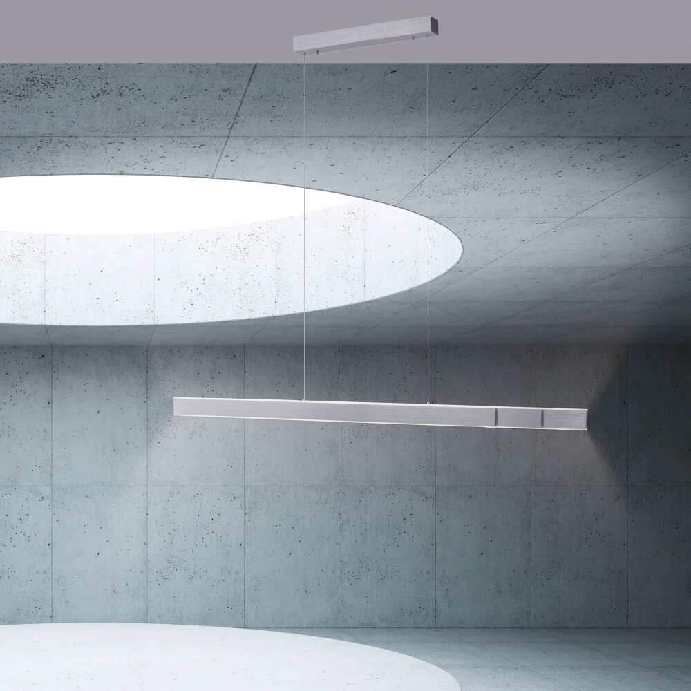 Paul Neuhaus PURE-LUME Pendelleuchte LED Aluminium, 6-flammig main product photo