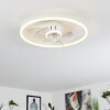 Oleiro Deckenventilator LED Grau, Weiß, 1-flammig, Fernbedienung