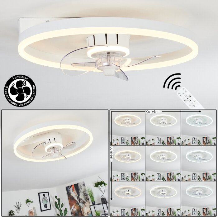 Oleiro Deckenventilator LED Grau, Weiß, 1-flammig, Fernbedienung Oleiro Deckenventilator LED Grau, Weiß, 1-flammig, Fernbedienung