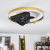 Oleiro Deckenventilator LED Gold, Schwarz, Weiß, 1-flammig, Fernbedienung