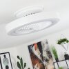 Azenha Deckenventilator LED, 1-flammig, Fernbedienung