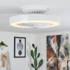 Azenha Deckenventilator LED, 1-flammig, Fernbedienung