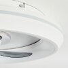 Tirkkala Deckenventilator LED, 1-flammig