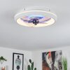 Tirkkala Deckenventilator LED, 1-flammig