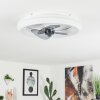 Tirkkala Deckenventilator LED, 1-flammig