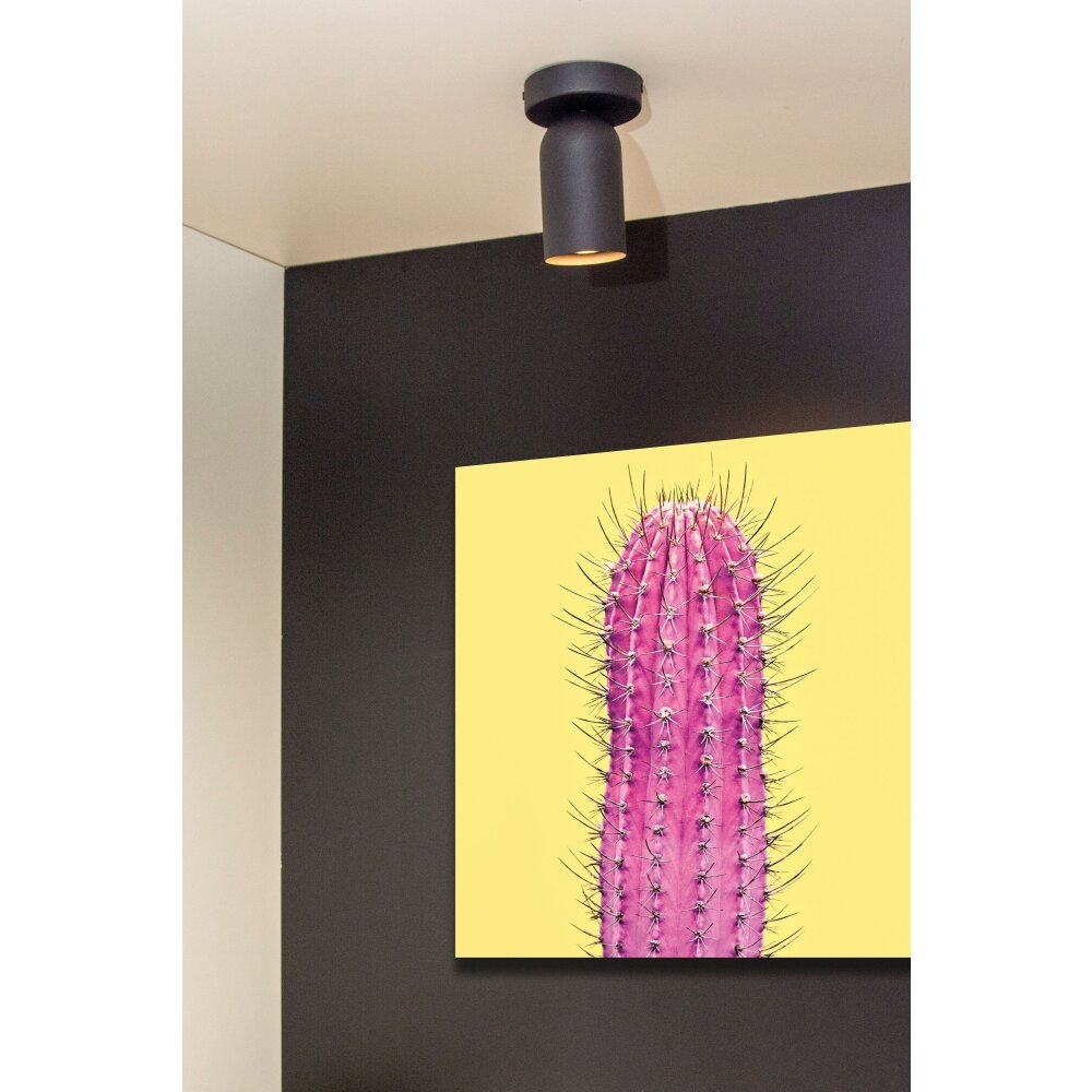 Lucide PUNCH Wandleuchte Schwarz, 1-flammig main product photo
