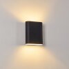 Vion Wandleuchte Schwarz, 2-flammig