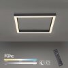 Paul Neuhaus PURE-LINES Deckenleuchte LED Anthrazit, 1-flammig, Fernbedienung