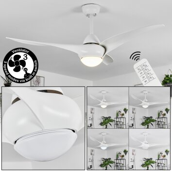 Malloa Deckenventilator LED Weiß, 1-flammig, Fernbedienung