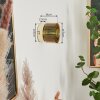 Cantoni Wandleuchte Gold, 1-flammig