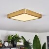 Finsrud Deckenpanel LED Gold, 1-flammig