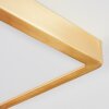 Finsrud Deckenpanel LED Gold, 1-flammig