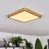 Finsrud Deckenpanel LED Gold, 1-flammig