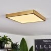 Finsrud Deckenpanel LED Gold, 1-flammig