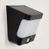 Colchagua   Solarwandleuchte LED Schwarz, Weiß, 1-flammig, Bewegungsmelder