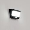 Colchagua   Solarwandleuchte LED Schwarz, Weiß, 1-flammig, Bewegungsmelder