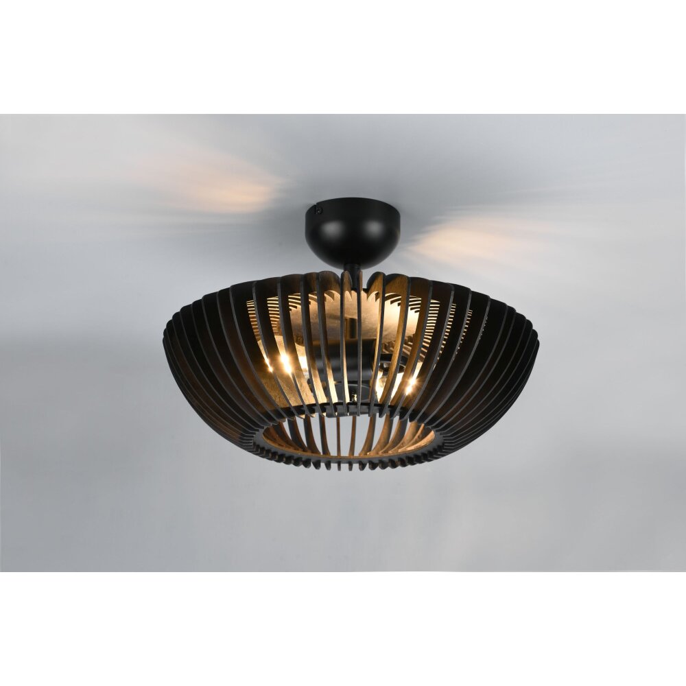 Trio Colino Deckenleuchte Schwarz, 2-flammig main product photo