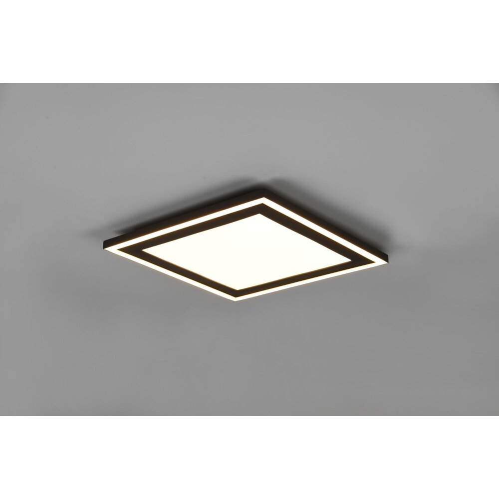 Reality Carus Deckenleuchte LED Schwarz, 1-flammig main product photo