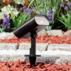 Usmagama Solar Gartenstrahler LED Schwarz, 1-flammig, Bewegungsmelder, Farbwechsler