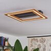 Charentay Deckenleuchte LED Schwarz, 1-flammig