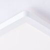 Brilliant Milton Deckenpanel LED Weiß, 1-flammig