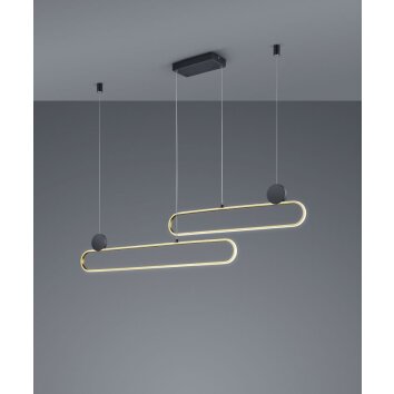 Trio Grant Pendelleuchte LED Messing, Schwarz, 1-flammig Trio Grant Pendelleuchte LED Messing, Schwarz, 1-flammig