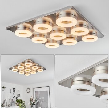 Thiernu Deckenleuchte LED Nickel-Matt, 1-flammig