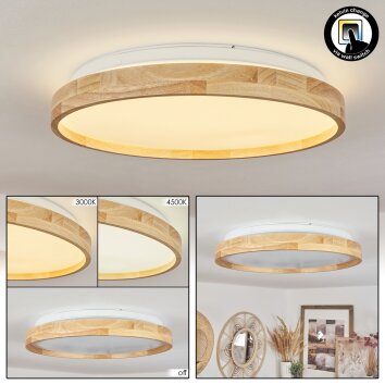 Menthonnex Deckenleuchte LED Weiß, 1-flammig Menthonnex Deckenleuchte LED Weiß, 1-flammig