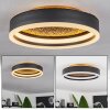 Guine Deckenleuchte LED Gold, Schwarz, 1-flammig