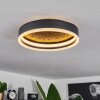 Guine Deckenleuchte LED Gold, Schwarz, 1-flammig