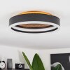 Guine Deckenleuchte LED Gold, Schwarz, 1-flammig