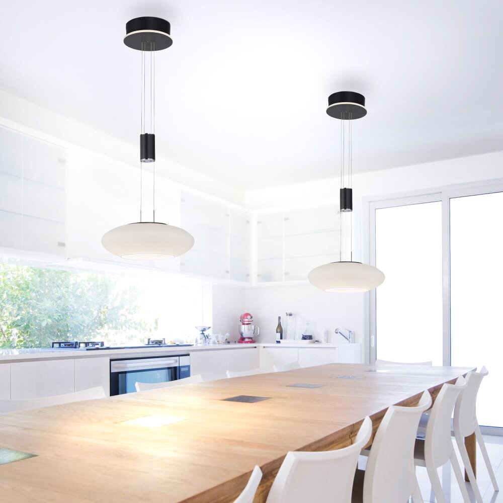 Paul Neuhaus Q-ETIENNE Pendelleuchte LED Schwarz, 1-flammig, Fernbedienung main product photo