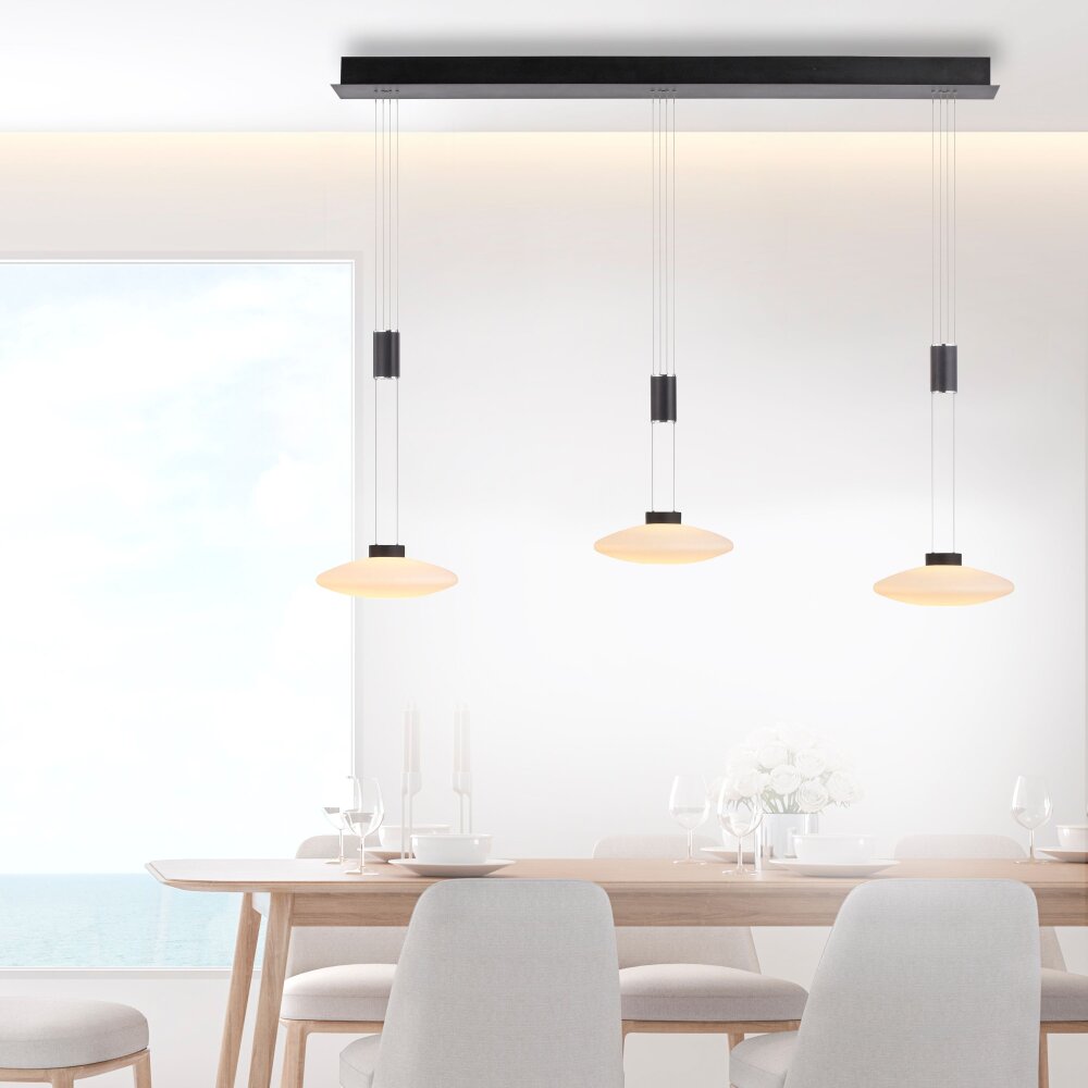 Paul Neuhaus LAUTADA Pendelleuchte LED Schwarz, 3-flammig main product photo