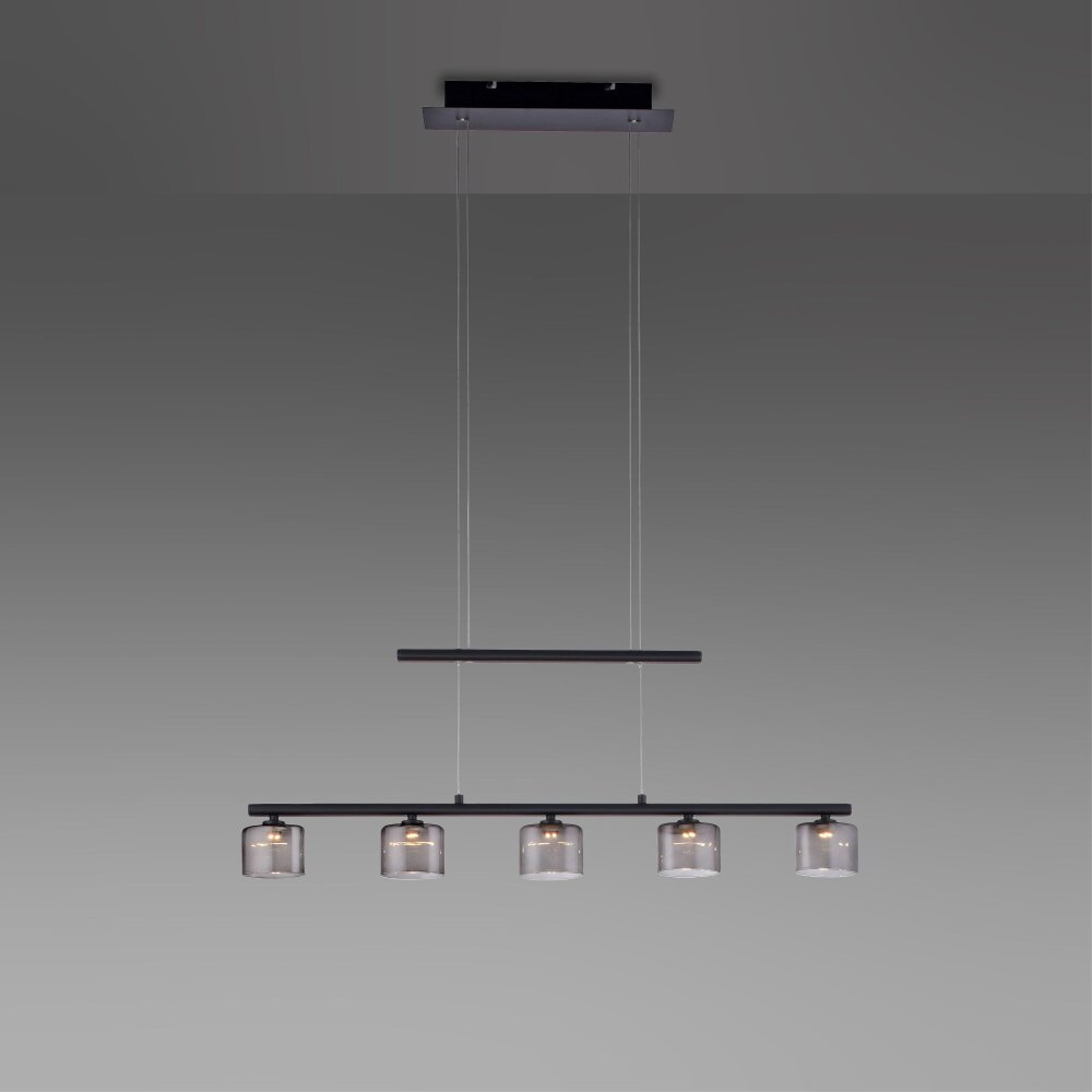 Paul Neuhaus HYDRA Pendelleuchte LED Schwarz, 5-flammig
