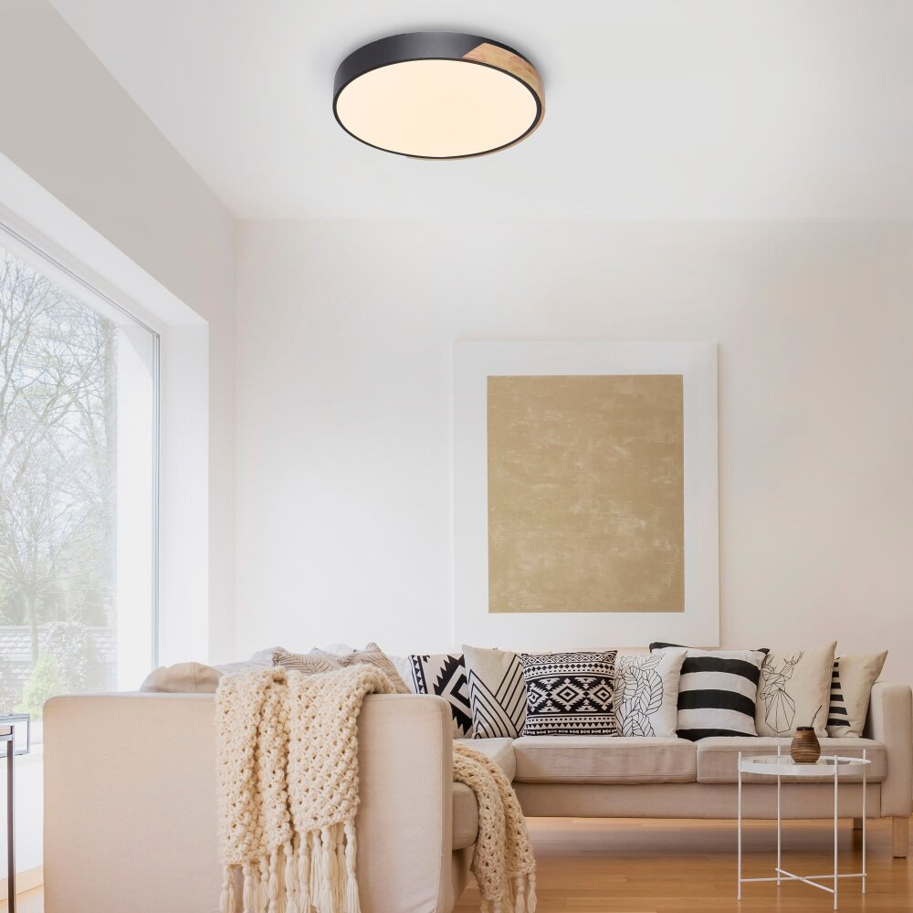 Paul Neuhaus Q-BILA Deckenleuchte LED Naturfarben, Schwarz, 1-flammig, Fernbedienung main product photo