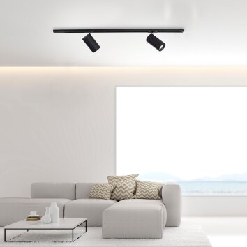 Paul Neuhaus PURE-TECHNIK Schienensystem LED Schwarz, 2-flammig