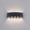 Paul Neuhaus CARLO Wandleuchte LED Anthrazit, 10-flammig