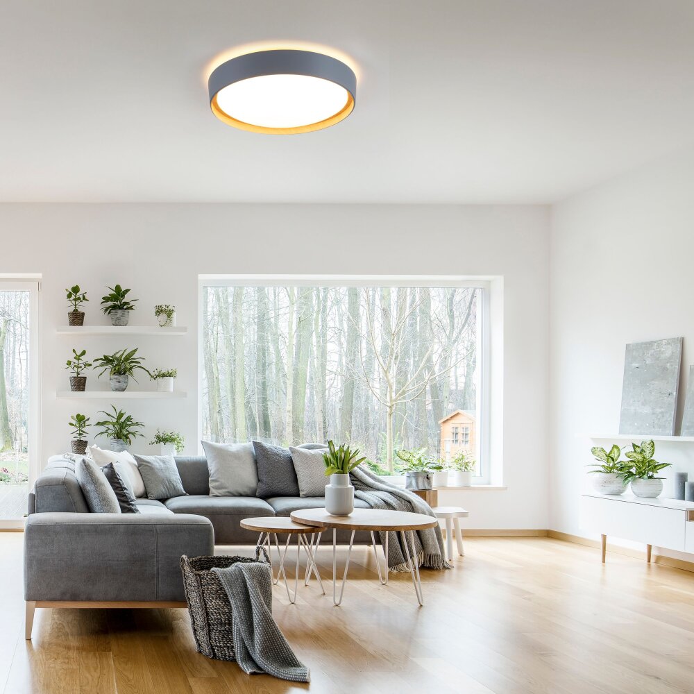 Leuchten Direkt EMILIA Deckenleuchte LED Grau, Naturfarben, 1-flammig main product photo