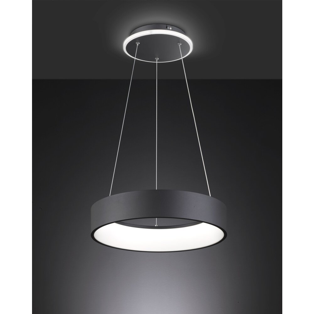 Wofi Leuchten SHAY Pendelleuchte LED Schwarz, 1-flammig main product photo