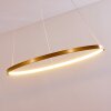 Canisteo Hängeleuchte LED Gold, 1-flammig