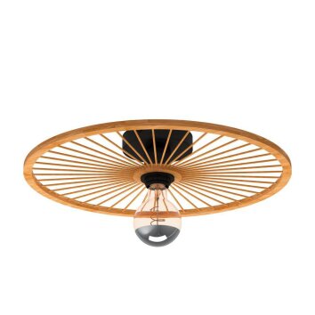 Eglo LEOMINSTER Deckenleuchte Schwarz, 1-flammig