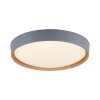Paul Neuhaus Q-EMILIA Deckenleuchte LED Grau, Holzoptik, 1-flammig, Fernbedienung