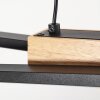 Meiral Pendelleuchte LED Schwarz, 2-flammig